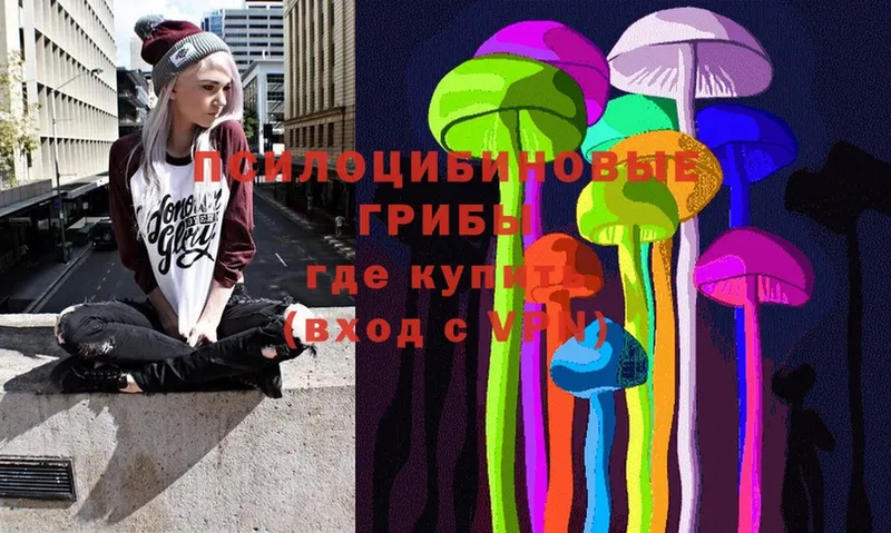 Псилоцибиновые грибы Psilocybe  Верхняя Салда 